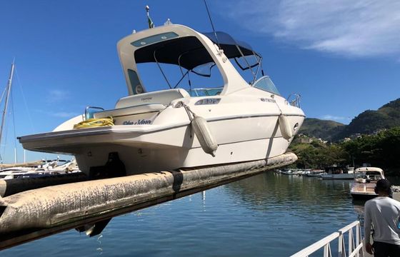 Motorboat Triton 27.5 260hp