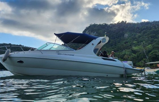 Motorboat Triton 27.5 260hp
