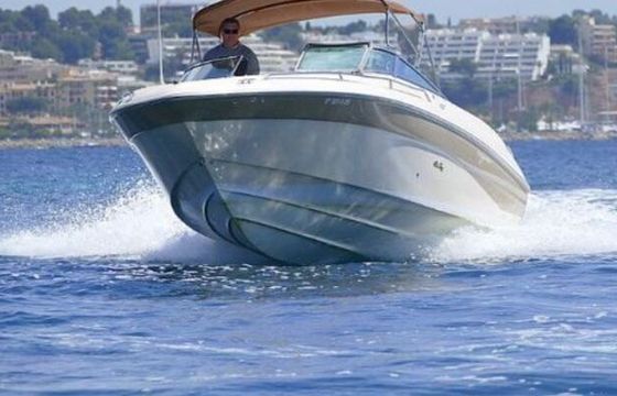 Motorboat Sea Ray 260 320hp