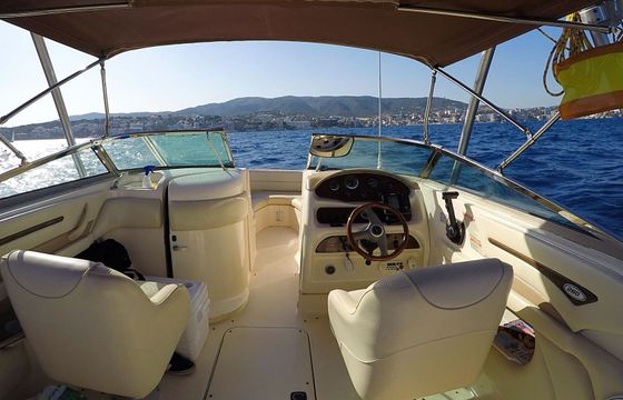 Motorboat Sea Ray 260 320hp