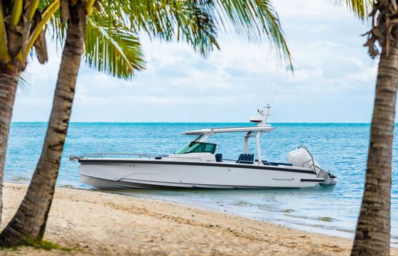 Motorboat Axopar Axopar 29 sun top 350hp