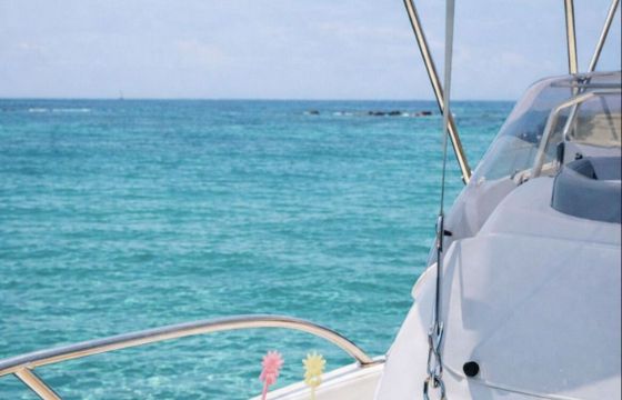 Motorboat Jeanneau Cap Camarat 6.5 WA 150hp
