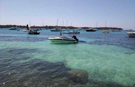 Motorboat Four Winns 180 Horizon 100hp