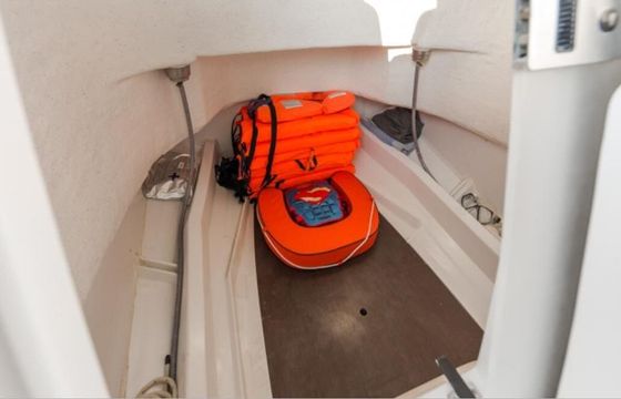 Motorboat Jeanneau Cap Camarat 7.5 Cc 225hp