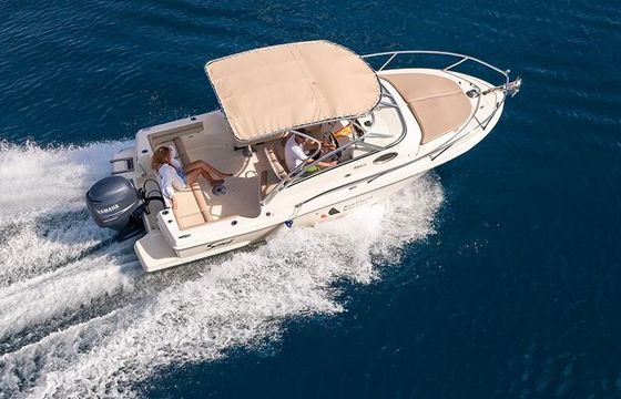 Motorboat Scout 225 ABACO 150hp