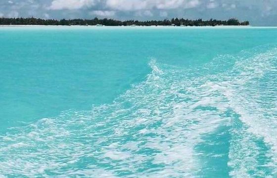 Motorboat Hammer Yachts Next 510 30hp