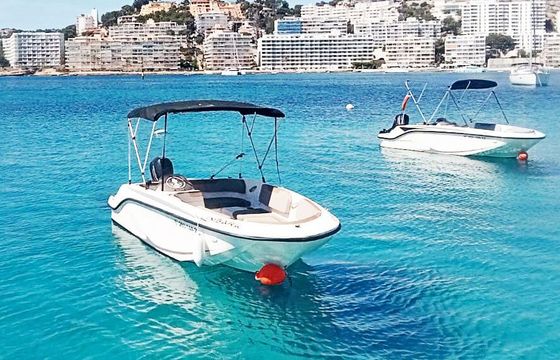 Boat without licence  Bayliner Element E5 15hp