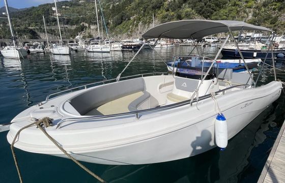 Motorboat allegra 21 150hp