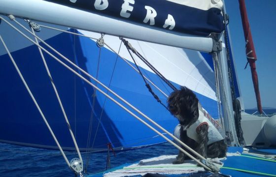 Sailboat BENETEAU CYCLADES 39.3 12m