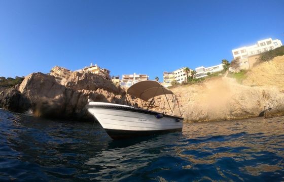 Boat without licence  SILVER 525 15hp