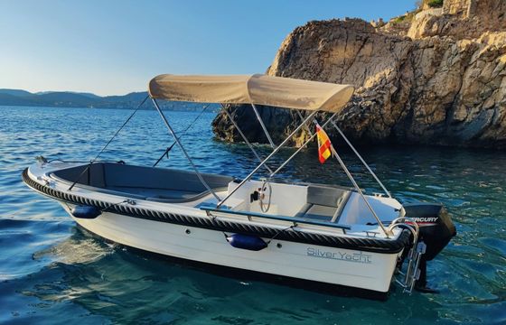 Boat without licence  SILVER 525 15hp