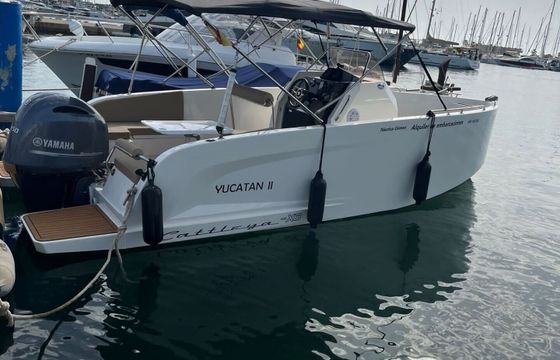 Motorboat CATTLEYA X6 150hp
