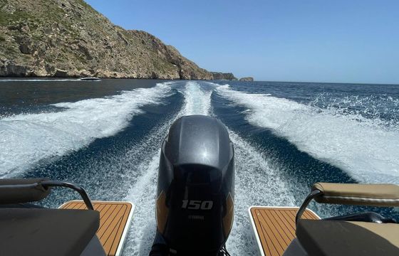 Motorboat CATTLEYA X6 150hp