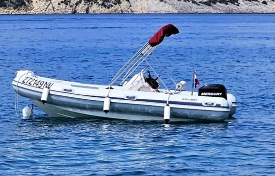 Motorboat bayliner marine kolibri 50hp