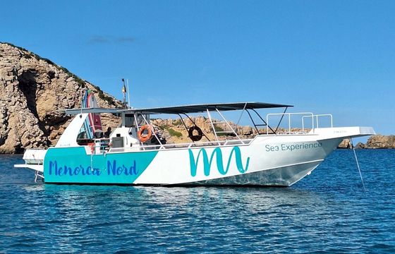 Motorboat Mogaro 1550 660hp
