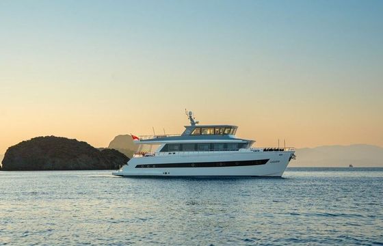 Motor yacht Luxury motor yacht with a capacity of 8 people 2024