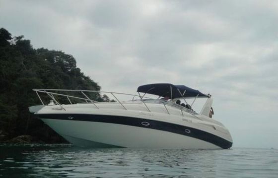 Motorboat Silver Sea II Runner 335 440hp