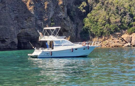 Motorboat Ars monaco 31 fly 400hp