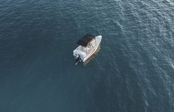 Boat without licence Trygons "Bolt" / RedFin 49 30hp