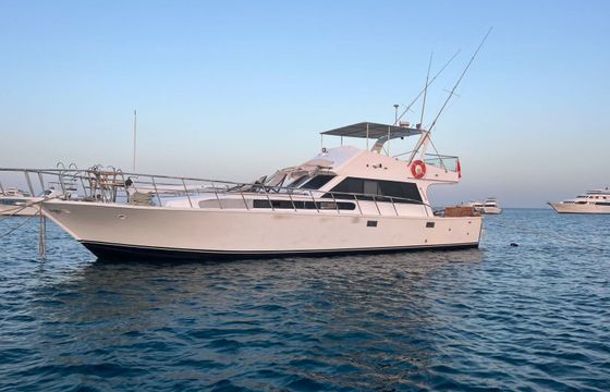 Motor yacht Royal Wood 12 M Elegance 300hp