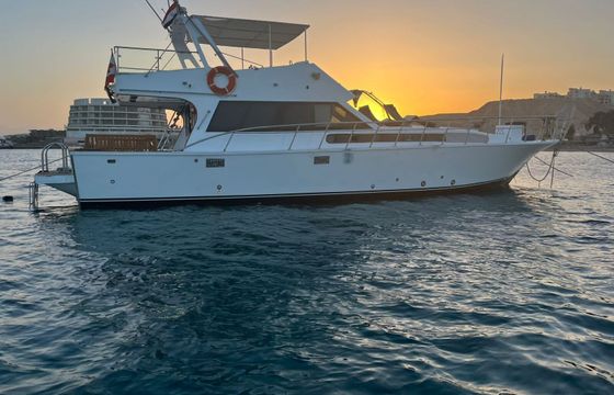 Motor yacht Royal Wood 12 M Elegance 300hp