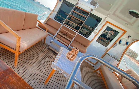 Motor yacht Royal Wood 12 M Elegance 300hp
