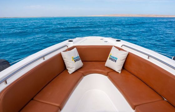 Motorboat Thunder 2024