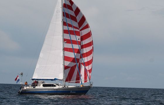 Sailboat Van der Stadt 41 Norman 12m