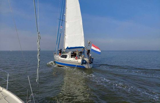 Sailboat Van der Stadt 41 Norman 12m