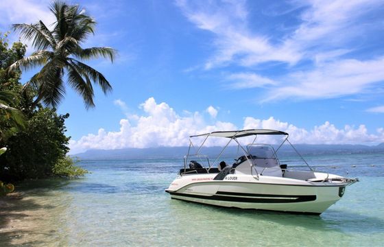 Motorboat BENETEAU flyer 6.6 spacedeck 175hp