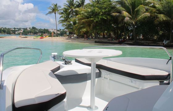 Motorboat BENETEAU flyer 6.6 spacedeck 175hp