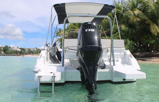 Motorboat BENETEAU flyer 6.6 spacedeck 175hp