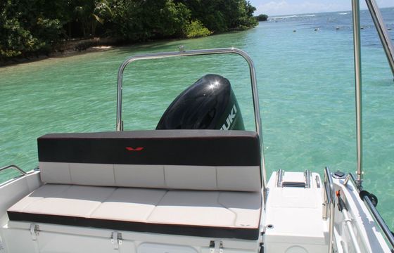 Motorboat BENETEAU flyer 6.6 spacedeck 175hp