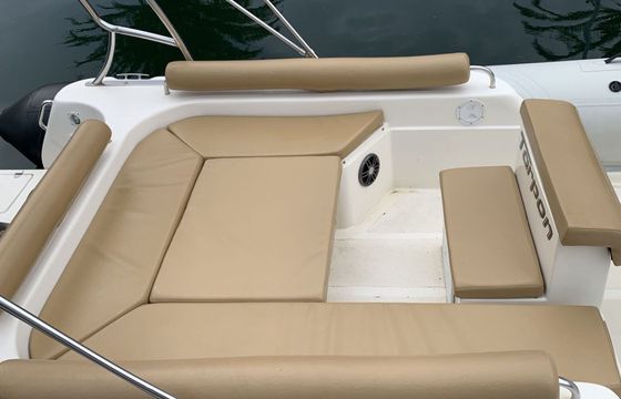 Motorboat Rodman Tarpon 790 250hp