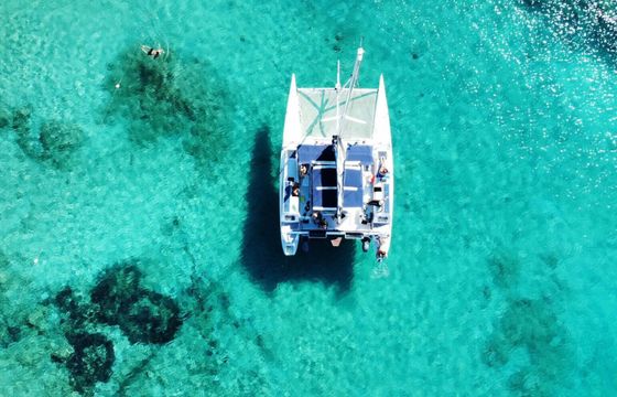 Catamaran Toxic Boat Escursione giornaliera all inclusive 10m