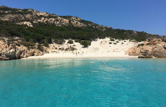 Catamaran Toxic Boat Escursione giornaliera all inclusive 10m