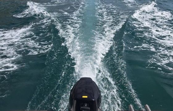 Boat without licence  Marion 510 15hp
