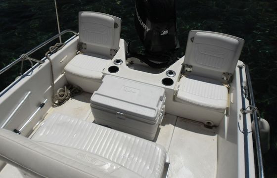 Motorboat Boston Whaler DAUNTLESS 170 100hp
