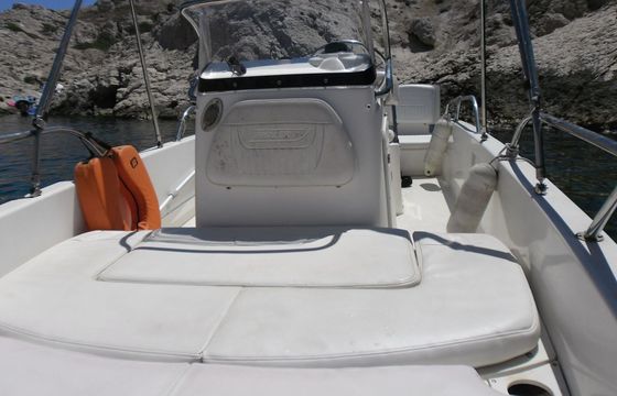 Motorboat Boston Whaler DAUNTLESS 170 100hp