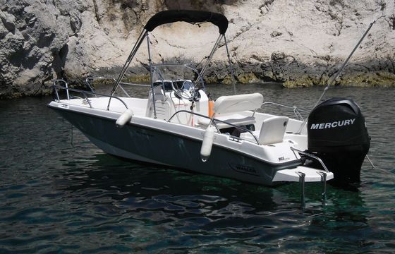 Motorboat Boston Whaler DAUNTLESS 170 100hp