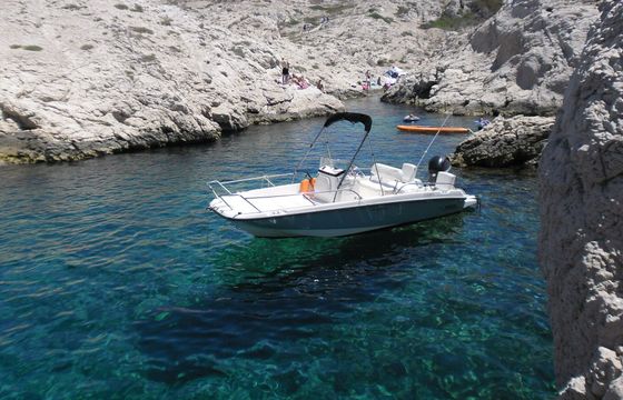 Motorboat Boston Whaler DAUNTLESS 170 100hp