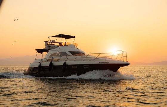 Motorboat Sealine 450 740hp