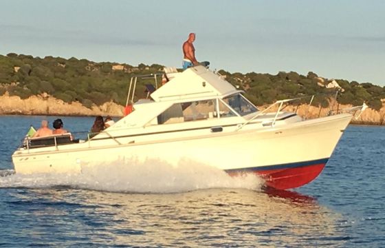 Motorboat Chris Craft 31 commander sports express