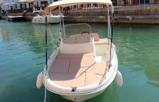 Boat without licence  remus 450 15hp