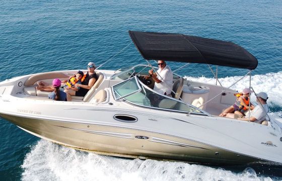 Motorboat Sea Ray 260 Sundeck 320hp