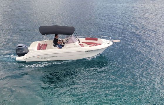 Motorboat Atlantic Marine 670 200hp