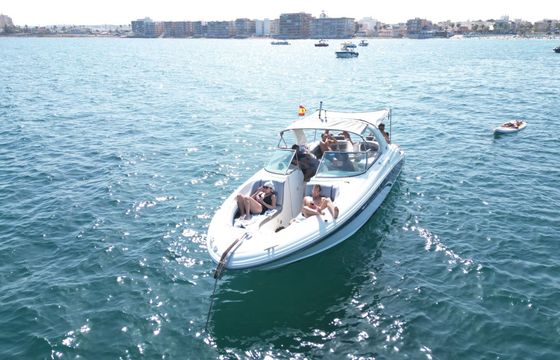 Motorboat Sea Ray 290 Dlx 550hp