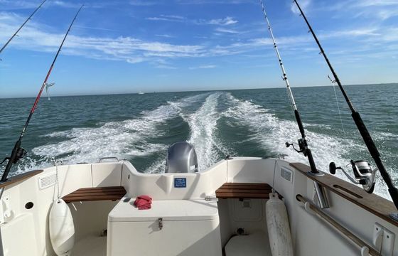 Motorboat Quicksilver 580 Pilothouse 100hp
