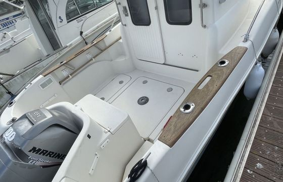 Motorboat Quicksilver 580 Pilothouse 100hp