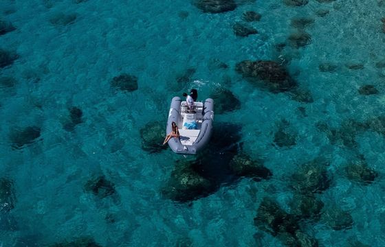 Boat without licence  Bwa 550 40hp